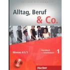 Učebnice v jazykovém kurzu Online němčina - Alltag, Beruf & Co.