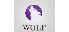 Jazyková škola WOLF English - osobní zkušenosti studentů